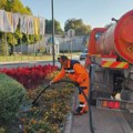 Mediana uređuje Niš: U toku čišćenje, košenje i orezivanje zelenila