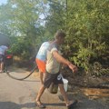 Veliki požar u koštunićima kod gornjeg milanovca: Vatra progutala 20 hektara, kuće ugrožene – meštani mole za pomoć