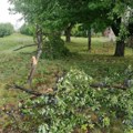Jako olujno nevreme pogodilo Čačak, na nekoliko lokacija stabla iščupana iz korena