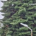 Sneg u Vranju i na jugu