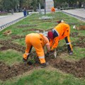 Spremanje cvetnih površina