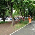 ЈКП „Медиана“ наставља уређење града: Кошење, садња и одржавање зеленила на више локација у Нишу