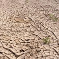 Studija: Klimatska kriza pojačava sušu u Evropi