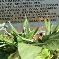 Neobičan spomenik na ostrvu Vis: Mačak Šajeta dobio spomen-ploču, posveta privukla pažnju