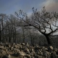 Izbio novi požar u Grčkoj, na Rodosu i dalje gori, dve osobe stradale su u Velestinu