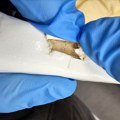 FOTO Pokušaj šverca 1,6 kilograma heroina preko Kelebije: Bio sakriven u posudi za sapun u autobusu