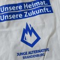 AfD i mladi glasači: strah od budućnosti i razočaranje