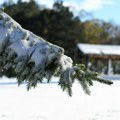 Pada sneg u delovima Srbije: Na snazi žuti meteoalarm