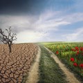 Ulaganje u kadrove i odgovor na klimatske promene ključni za razvoj privrede