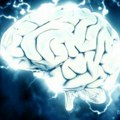 Srpski um briljira na globalnoj mapi inteligencije