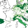 Gotovo izumrli predator opet osvaja Europu: Deo Srbije je već uveliko modro zelen (mapa)