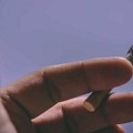 Evo kada će ponovo poskupeti cigarete