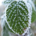 Vreme za nedelju: RHMZ najavio mraz i maglu, ali i sunce