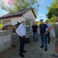 Došli su u Srbiju bez ičega, danas imaju stotine grla stoke i vinograde: Njihova životna priča inspiriše celu zemlju, ministar…