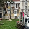 Drvo razbilo prozor: Incident u Priboju: Truplo umesto na prazan prostor palo na zgradu