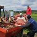 Gujaničići se bave poljoprivredom na 1.200 metara nadmorske visine: Godišnje proizvedu preko 900 tona krompira!