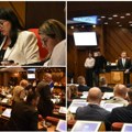 U gradskoj kasi 49,33 milijarde dinara novosadska skupština usvojila rebalans BUDžETA Mićin: Novi Sad nezaustavljivo ide napred…