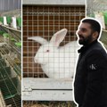 Sprema se jedinstvena investicija u ovom delu Evrope u Stejanovcima Milan gradi farmu za uzgoj 15.000 kunića