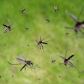 Zbog opasnog virusa upućen apel svim građanima Beograda