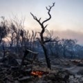 EU šalje kanadere u Grčku, nastavlja se borba sa požarima