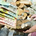 SAD je pravo vreme da kupite ogrev, drva već od 5.000, a pelet 32.000 dinara! Oglasili se prodavci: Poskupeće ako se desi…