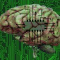 Mask saopštio: Ugradili smo prvi čip u ljudski mozak