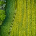 Mađarska: Cijene poljoprivrednog zemljišta pale prvi put u deset godina