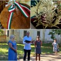 U Vrbasu održana Manifestacija „U čast novog hleba” Čuvar kulturnog nasleđa i običaja Mađara