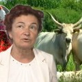 VALERIJA SVOJOM PAPRIKOM ZALUDELA I NEMCE! Zaliva je na svoj način, krave su joj posebni saradnici, a sa svojih 30 hektara se…