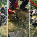 Bravo za vatrogasce: Izvukli psa iz bunara dubokog 15 metara