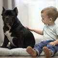Putokaz za mame i tate: Kako vreme provedeno sa kućnim ljubimcem utiče na decu?