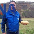 Kad ga je izvagao, nije verovao: Ogromni plodovi u Zoranovom domaćinstvu u selu Kućani - jedan krompir težak skoro dva…