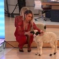 Jovana Jeremić vodila Jutarnji program sa jagnjetom: Dovela životinju u studio, pa joj zavezala crvenu mašnu: "Sluša me bolje…