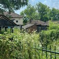 Studentski plan za poljoprivredu: Borba protiv uvozničkih lobija i opstanak mladih na selu