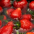 Belgija pronašla insekticid formetanat u smrznutim jagodama iz Srbije