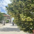 Zbor građana Inđija za roditelje i decu: ponesi udžbenike, pomozi Aleksandru