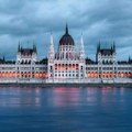 Nizak vodostaj Dunava donosi ogromne rojeve vodenih mušica u Budimpeštu