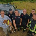 Ovo je pas kojeg su spasli sigurne smrti Vatrogasci-spasioci hitro reagovali kod Đalovića pećine