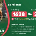 Pomozimo Milanu! Transplantacija bubrega u Belorusiji nova je šansa za život