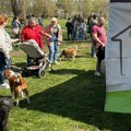 У Новом Саду одржана 10. „Изложба паса мешанаца”: Одговорно власништво спречава појаву напуштених животиња