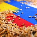 Ukrajinske vlasti: Kijev već dobio 90 odsto sredstava od zamrznute ruske imovine