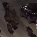 Neobična banda "patrolira" ulicama grada: Stanovnici Soluna u šoku, pojavio se neverovatan snimak (video)