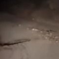 Divlja zver iskočila pred automobil Jeziva scena zabeležena na Cetinju (VIDEO)