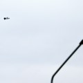 Ukrajina dronovima napala oblasti širom Rusije poslednjeg dana predsedničkih izbora