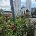 Druga izložba cveća okuplja zaljubljenike u hortikulturu: Najtraženije cvetnice preko leta ali i kaktusi