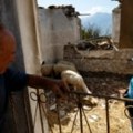 Pitanja se nadvijaju nad albanskim šumama nakon razornih požara