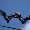 Kao da prave nisu dovoljno strašne: Kinezi napravili robotske zmije FOTO
