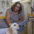 Ovaj pas radi u bolnici sa onkološkim pacijentima: Ono što se dešava tokom hemoterapije oduševilo je sve