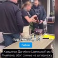 Sedela u kafiću, a onda joj pokazali policijske značke: Ovako je uhapšena zbog špijunaže za Albance!