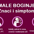 Male boginje stigle u Srbiju